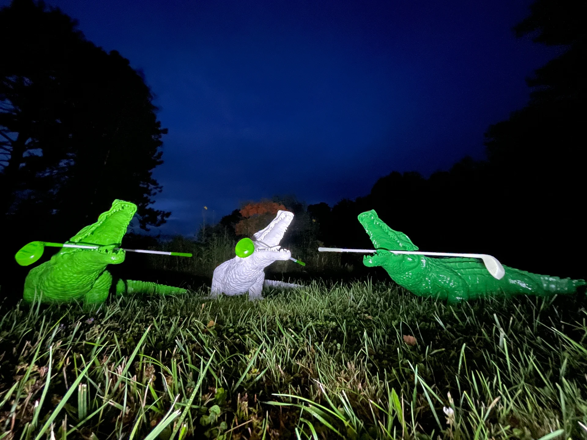 Golf de Nuit